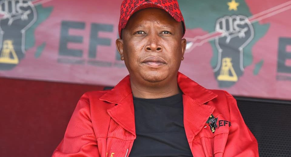 Julius Malema